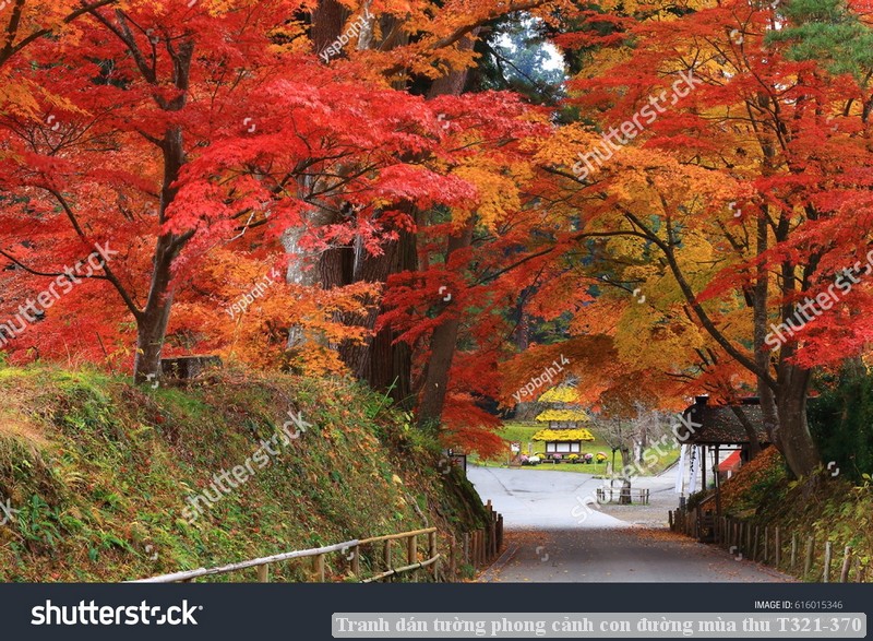 Tranh dán tường phong cảnh con đường mùa thu T321-370